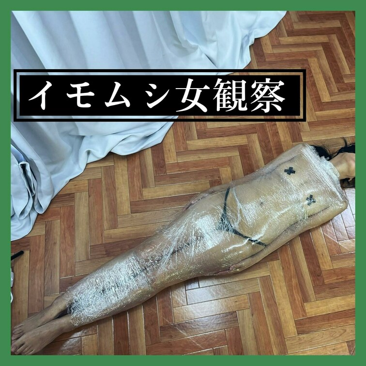 【昼間はOL、夜は...】イモムシ女観察

昼間は普通のOL、夜はイモムシになる女。
成虫が幼虫に戻った様子を観察