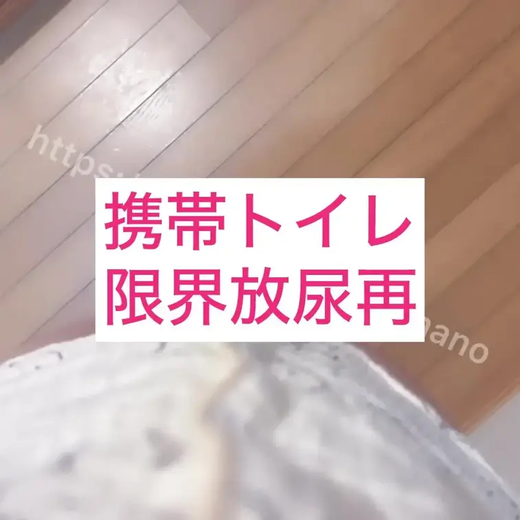携帯トイレに大量おしっこ
めっちゃ気持ちよかった♡
だっぷだぷです