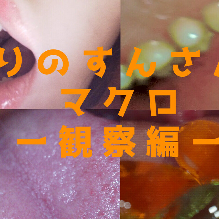 りのすんさんのマクロ探究-
りのすんさん 24くらいのバンギャ風の赤髪の可愛いお方です。
遠方から関東に来てくださいました
りのすんさんの好物はイクラ😋
そんなりのすんさんの口の中を…
マクロカメラで隅々まで観察しちゃいました。💋
内容
①雰囲気撮影
②デンタルカメラで口内観察 1:24~
歯~舌~普段見えない喉の奥のその先まで…
撮影しちゃいました💕
③舐め観察 7:14~
・半天カメラを直接舐める様子を撮影👅
④マクロ撮影 10:15~
高画質のマクロカメラで口の中を鮮明に撮影
・口淫観察 11:20~
フェラ中の口の中の様子を撮影させていただきました
・スロー撮影 19:40~
4倍スロー(FPS120)にて鮮明に映る様子を撮影、
普段見れないような瞬間も…💗
⑤食べ観察 22:30~
・グミ グミが食べられていくお口の中を撮影
・食べ撮影スロー(チョコ)27:10~
チョコレートがお口の中でドロドロに…
溶けていく様子を鮮明に撮影しました🍫
➅360°口内撮影(360°非対応 35:15~
360°カメラにて口の中 普段見えない前歯の裏側…
360度カメラで隅々まで観察しちゃいました💗
※スロー撮影は音無になっております。
研修撮影中🔰のものにより 500円割引中 (1/2)