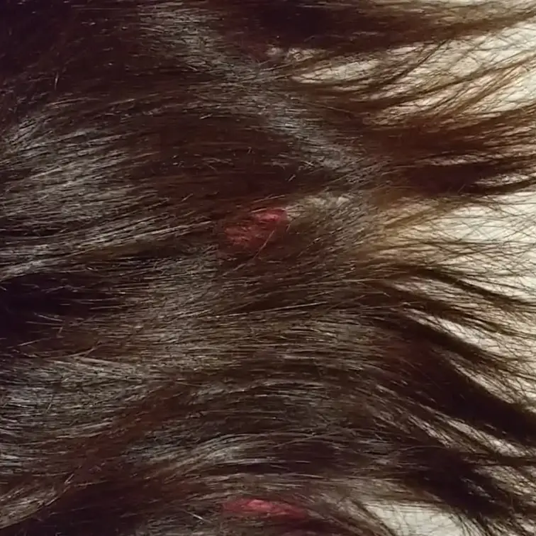 寝ている妻の髪を広げて、ブラッシングをしました。
ブラシを通す時の髪の艶が素敵です。

#髪フェチ
#妻
#髪