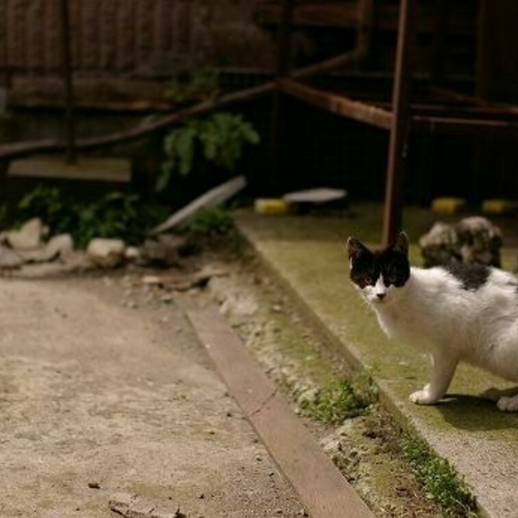 方南町の隠れ家より