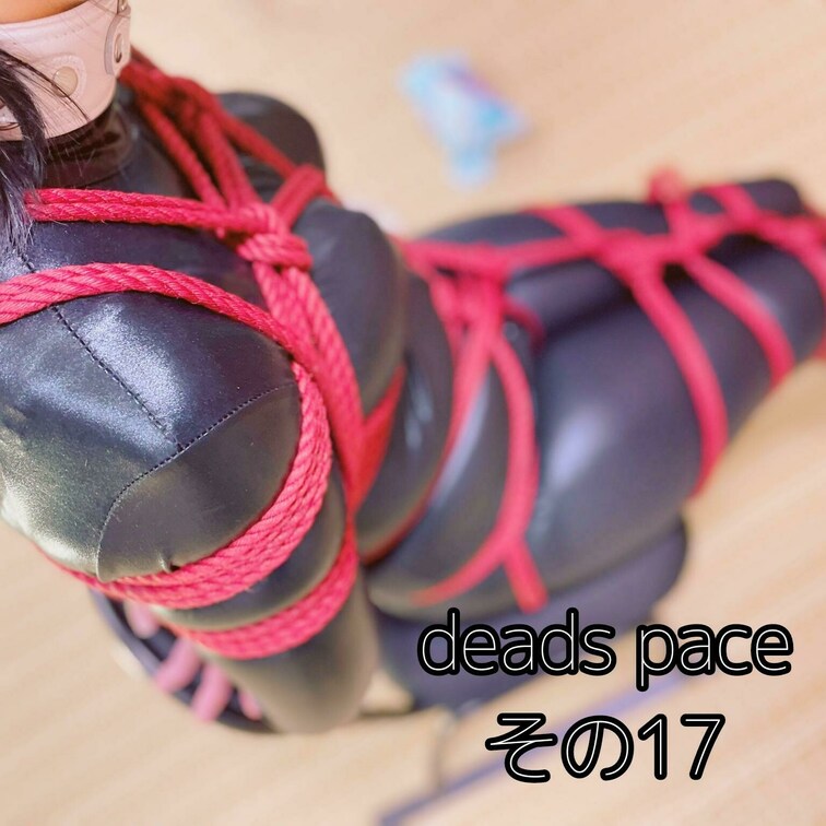 【黒と赤】
デッドスペース その１７