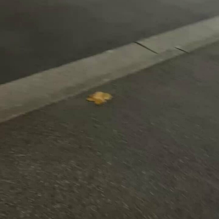 コインランドリー待ってる間に寝ちゃったうみにイタズラする気持ち悪い動画です🥺

うみの好きな気持ち悪いシリーズの動画