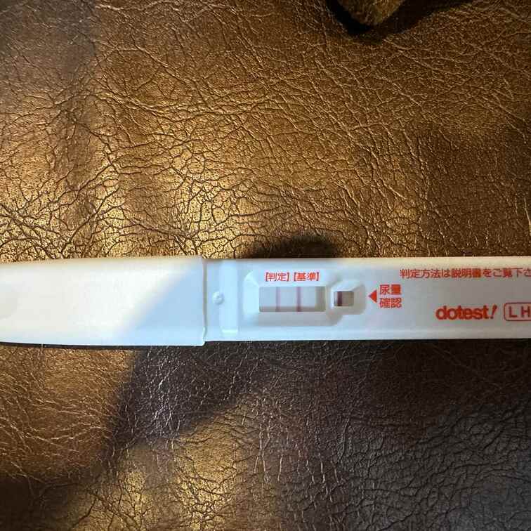 レオちゃん本気の妊活
今回は産婦人科で排卵促進剤を使用した上で子宮拡張及び排卵日中出し撮影をしています。
尚、特典版