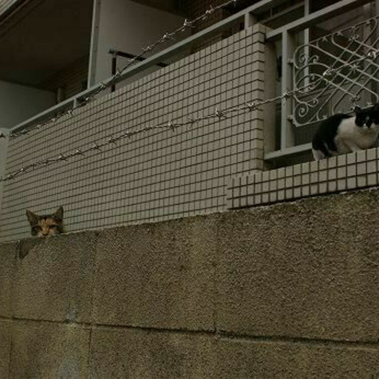 ニョロっと2匹