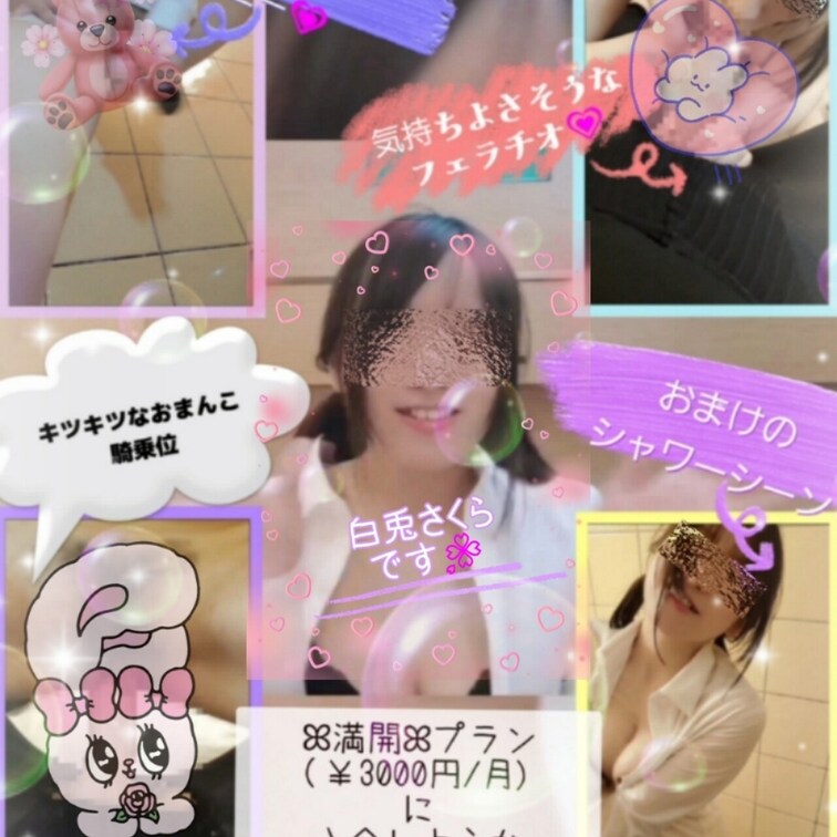 ✤桜咲く🌸満開🌸プラン✤(￥3000円/月)の お試し版を🧡単品販売🧡します!!!⸜(* 'ᵕ' *)⸝✨️✨️

 内