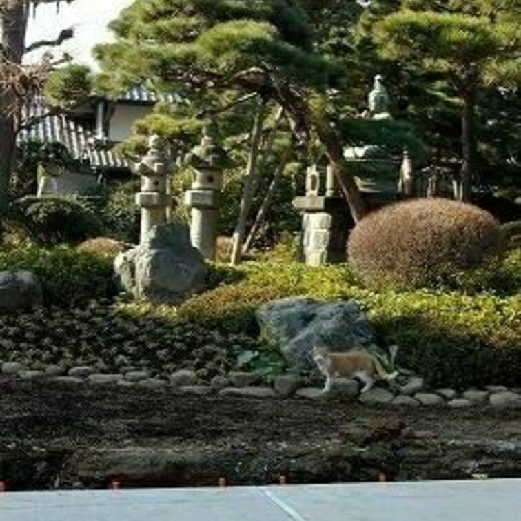 杉並区のお寺