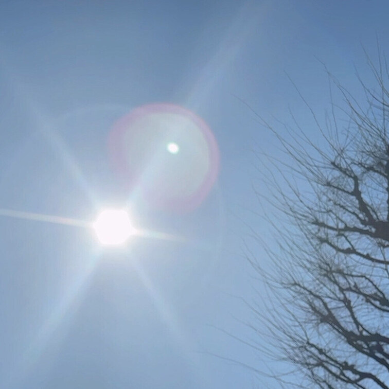 こんばんは🌉
早希です。

今日は、すっきり晴れていてお散歩日和でした☀️

ポカポカのお日様に照らされると自
