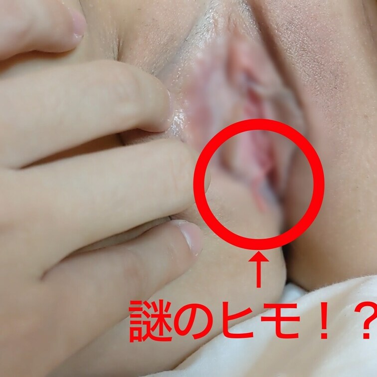 アソコから謎のヒモが出ている特異体質！？

笑顔がめちゃくちゃ可愛いサクラちゃんはなんと有名私立大学のお嬢様

