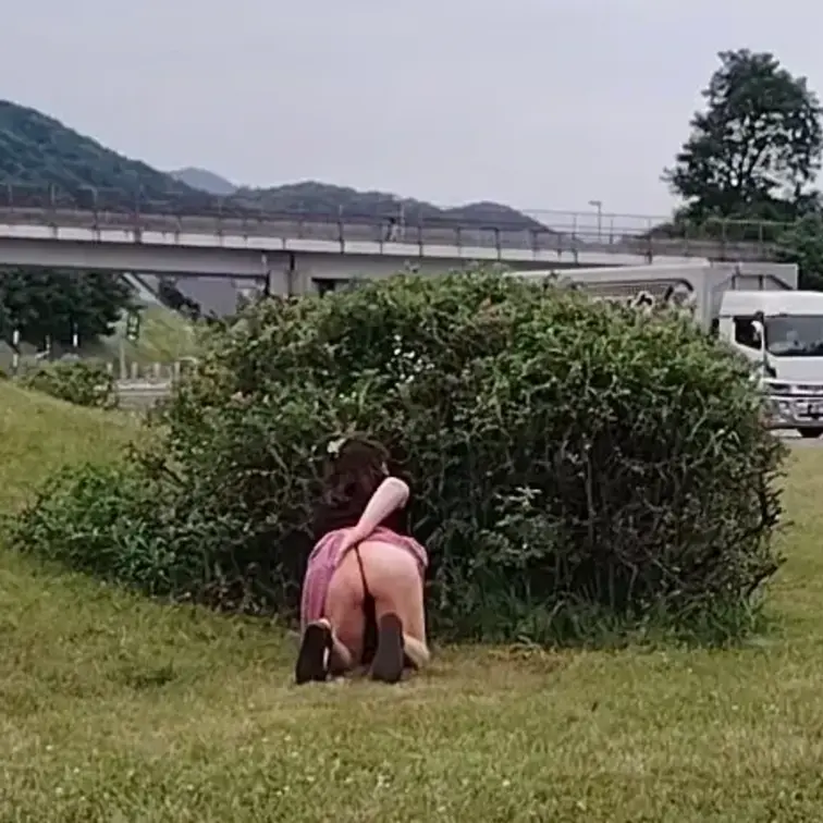 ♥️露出♥️SAの片隅の茂みの後ろで

四つん這いになった巨乳熟女