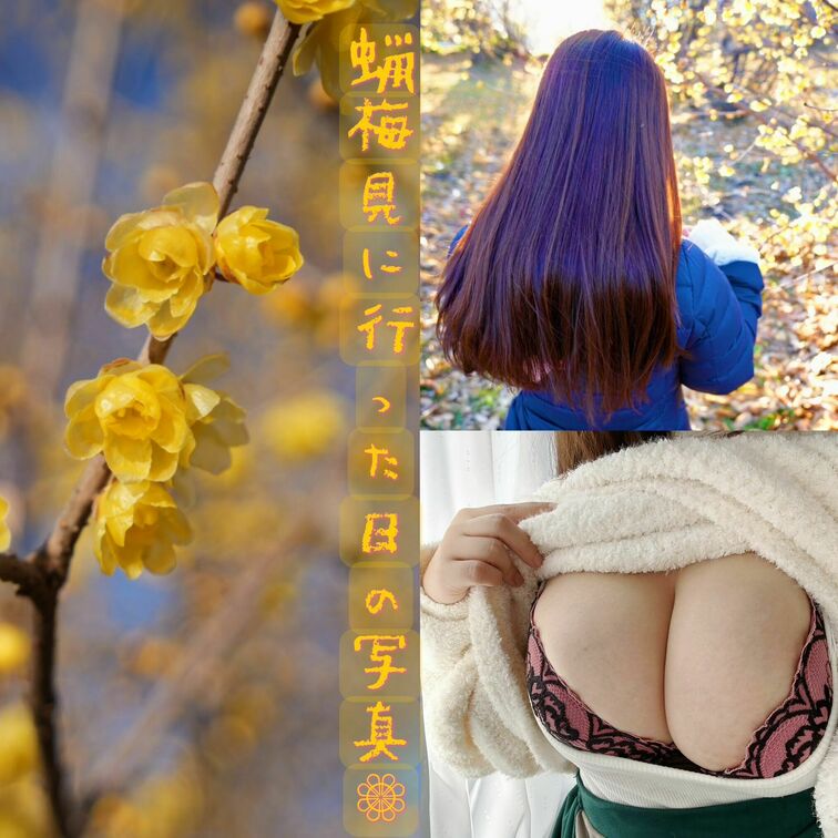 こんばんは

るりこです❁⃘*.ﾟ

みんなって花見したりしますか？


花見って言えば、きっと桜ってイメ