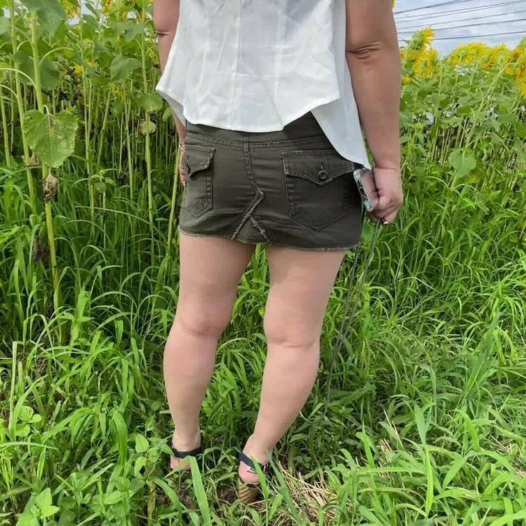 夏になったのでひまわりを見に行ってきました。当初予定のひまわり畑ではまだ全然咲いてなくて、別の場所に行ってきました。小ぶ