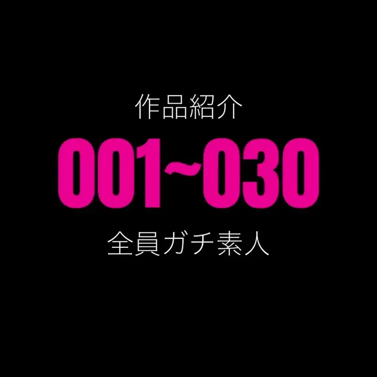 作品No,001~030のダイジェストです。
作品選びのご参考にどうぞ!