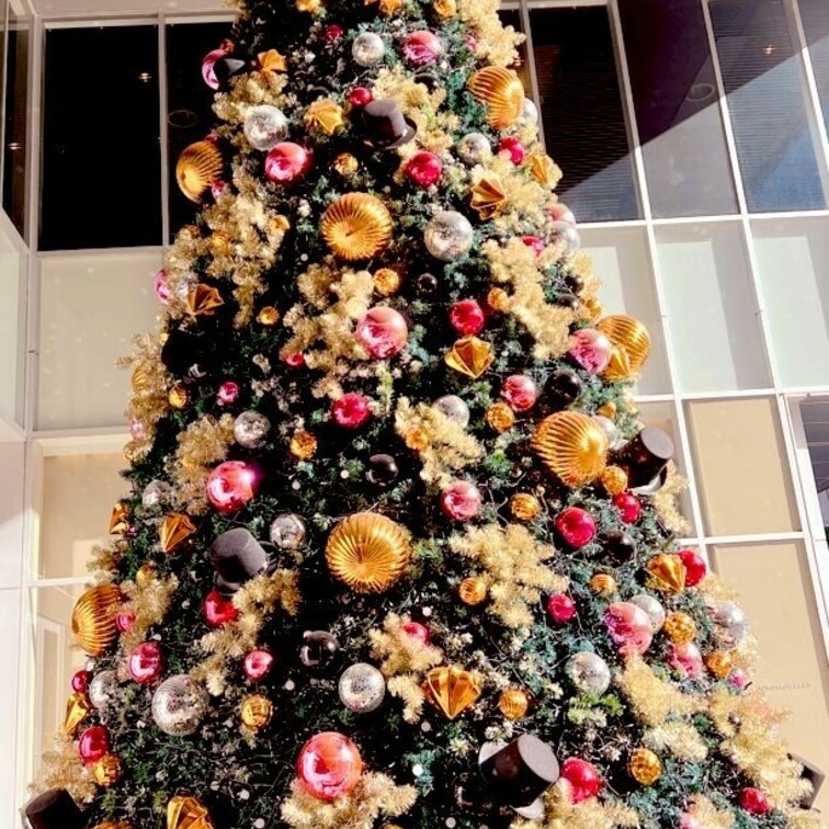 おっきいいい
クリスマスツリー🎄🦌発見ッ