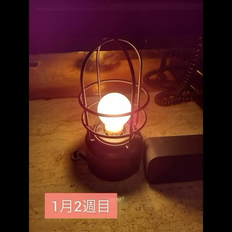 1月2週目②