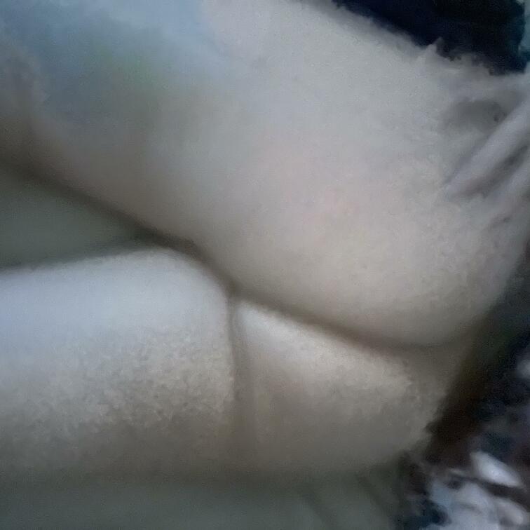 具が見え過ぎて撮り直した写真