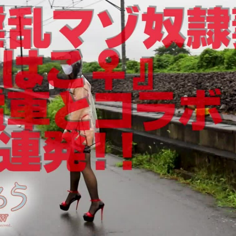 電車とコラボ4連発！！