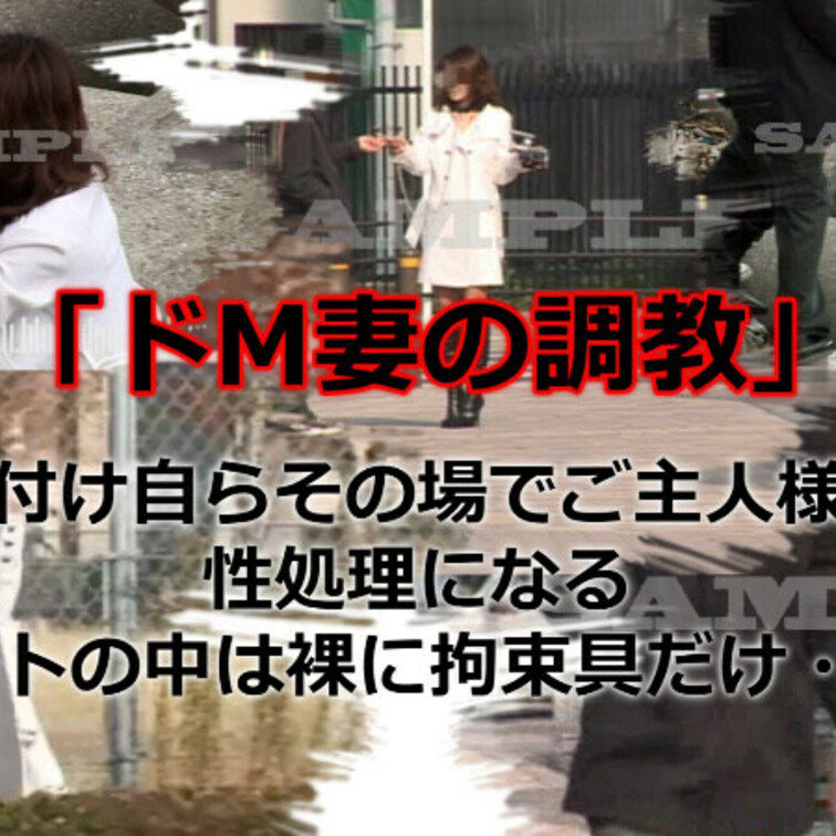 「ドM妻の○○○」首輪を付け自らその場でご主人様を探し性処理になる
コートの中は裸に亀甲縛りのような固定具だけ・・・