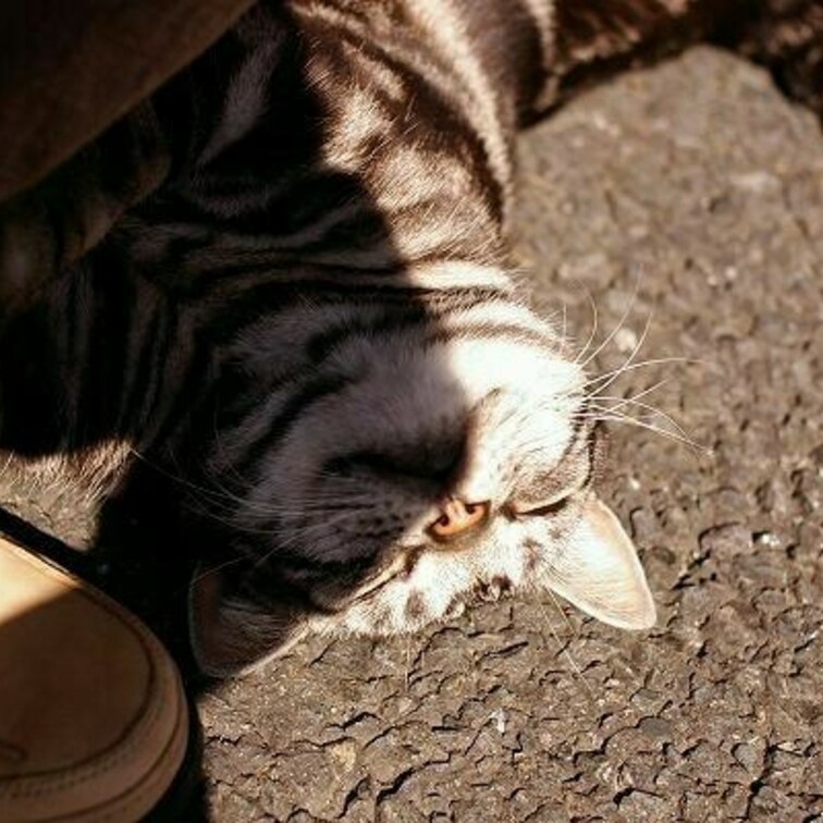 暖かいと眠い