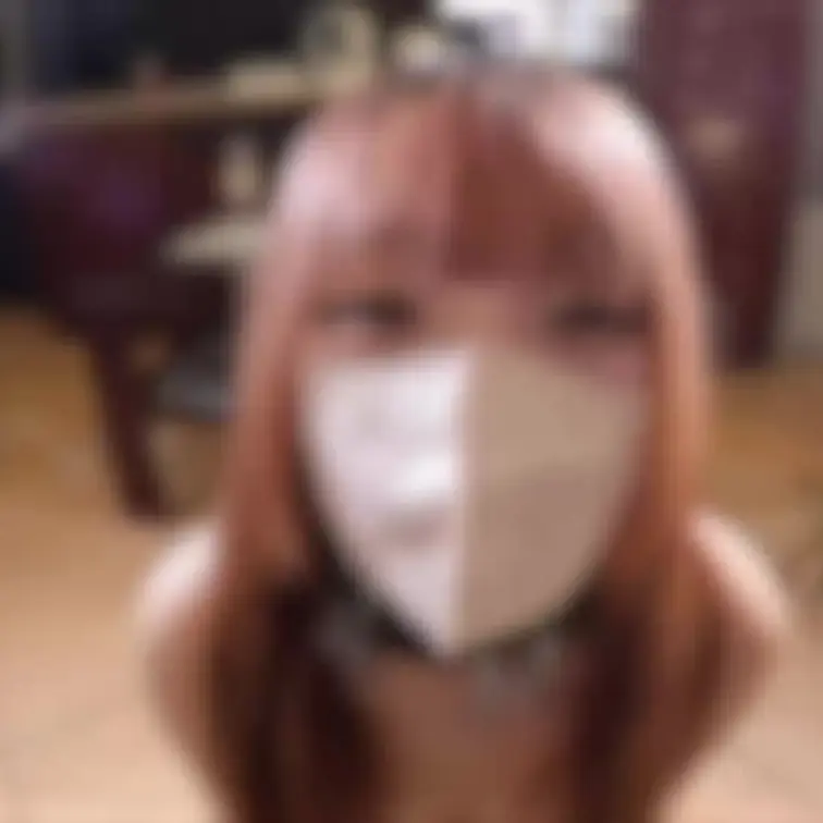 どえす。 動画2
