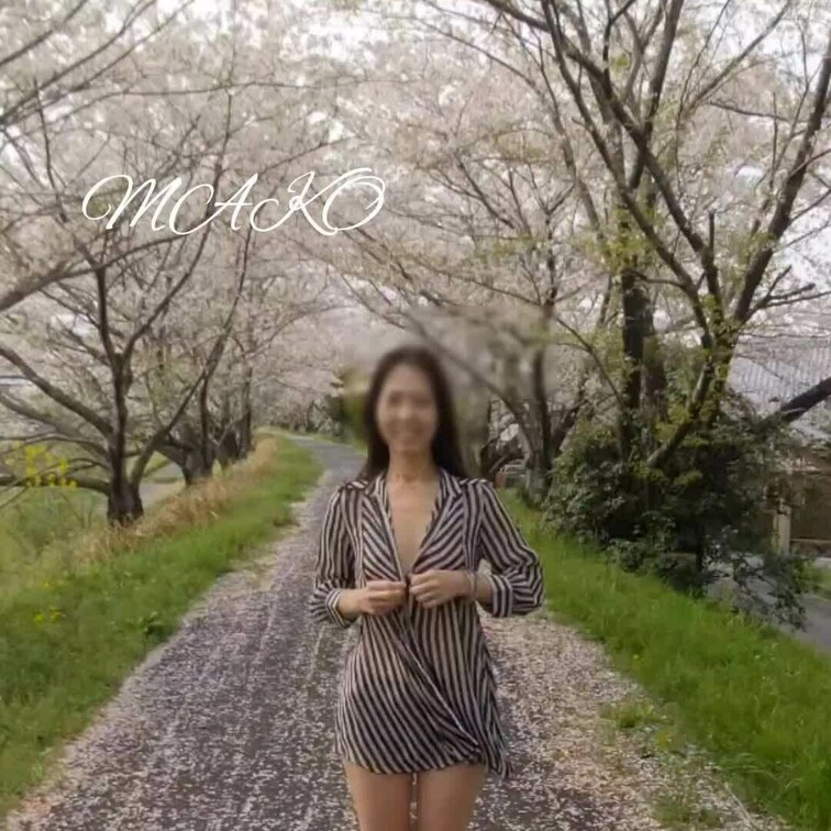 白昼野外露撮シリーズ♪
🌸コラボ、正面バージョンです😉✨
遊歩道の下にゎ民家が軒並みありましたが、お天気良くて 解放