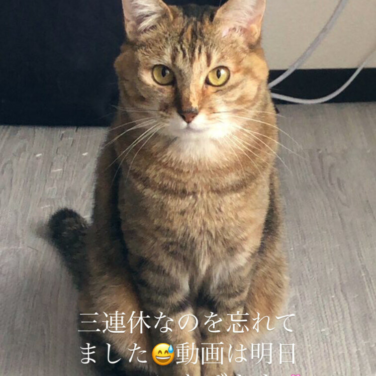 おしらせ⋆͛📣