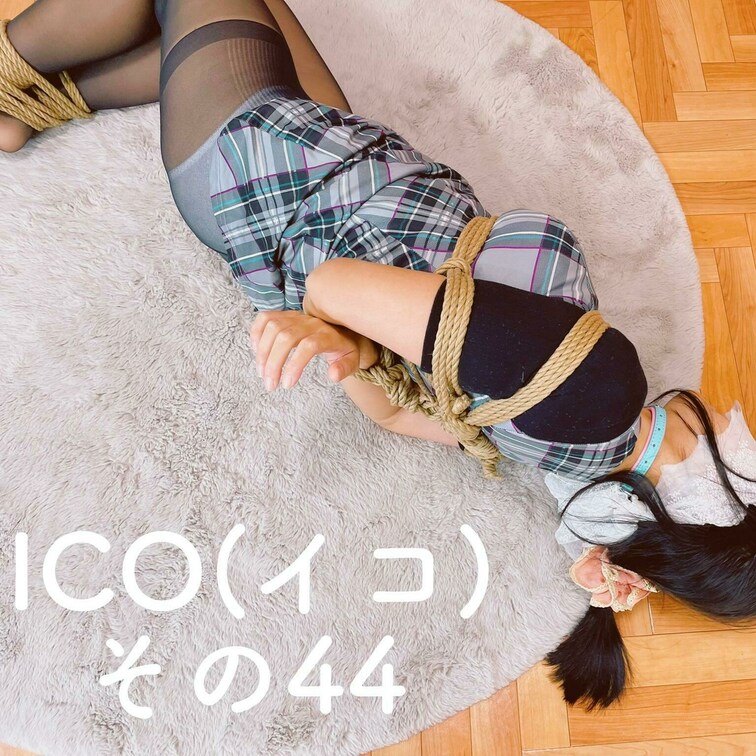 【めくって】ICO（イコ） その４４
[Turn it over] ICO Part 44
