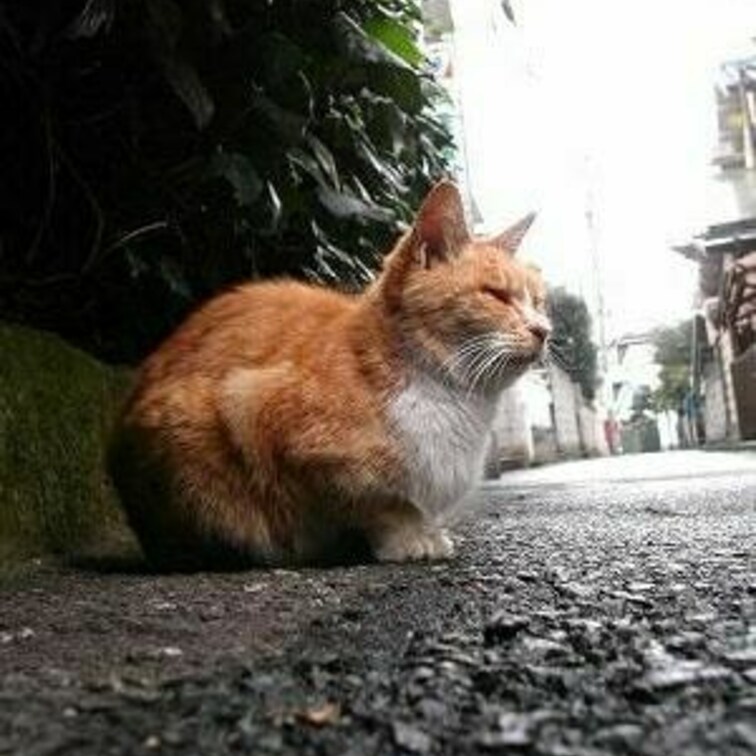 綺麗な座り方