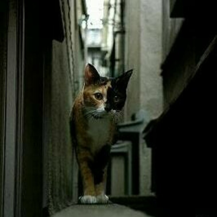 暗いから、目がまんまる