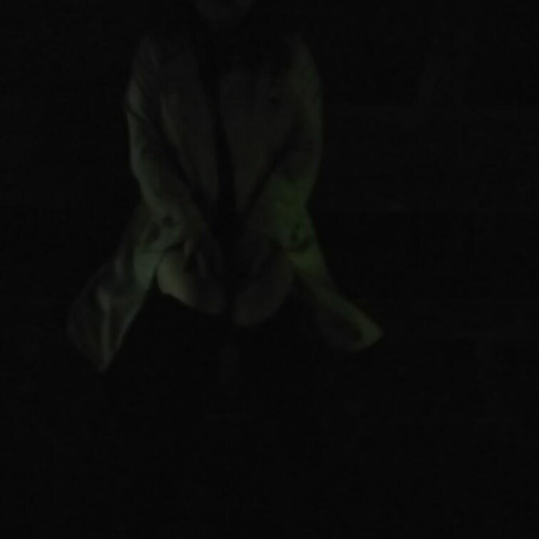 深夜の公園は、実際こんな感じです。
もうなにやっているのかわかりません。

見えた人すごすぎる！
