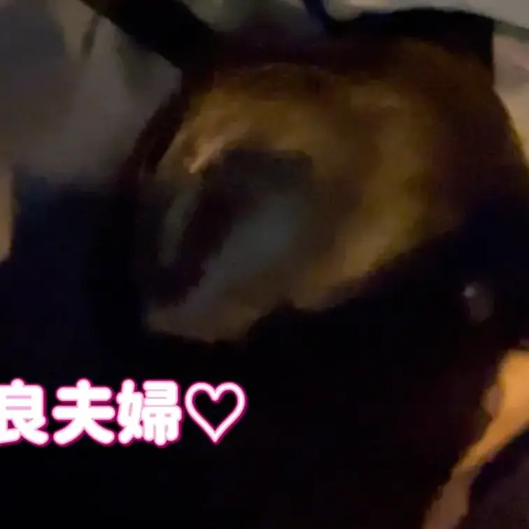 車中フェラ👅
動画の切り抜きです♡