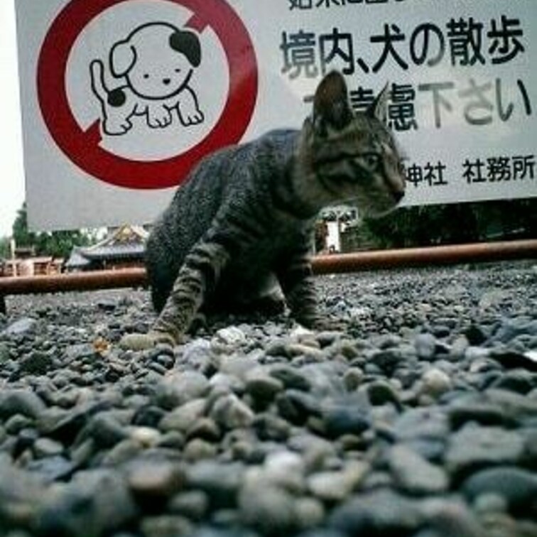 亀戸神社