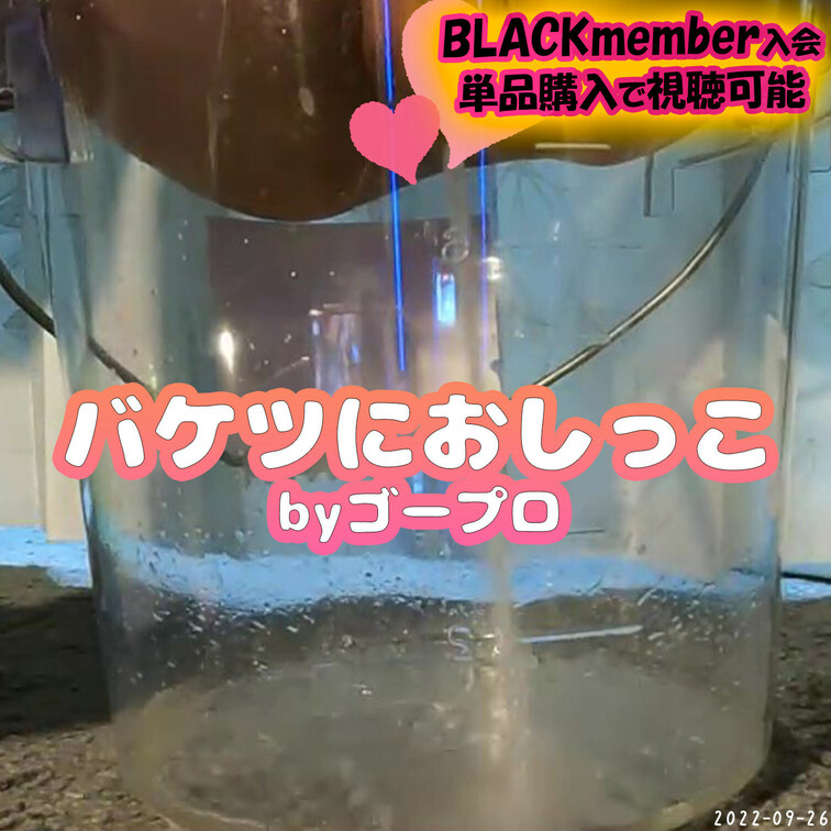 2022-09-26
🧺バケツにおしっこbyゴープロ🧺
2022-09-10の動画のゴープロ撮影版です✨
⭐myf