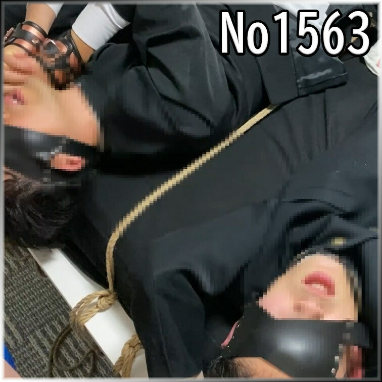 主なジャンル
