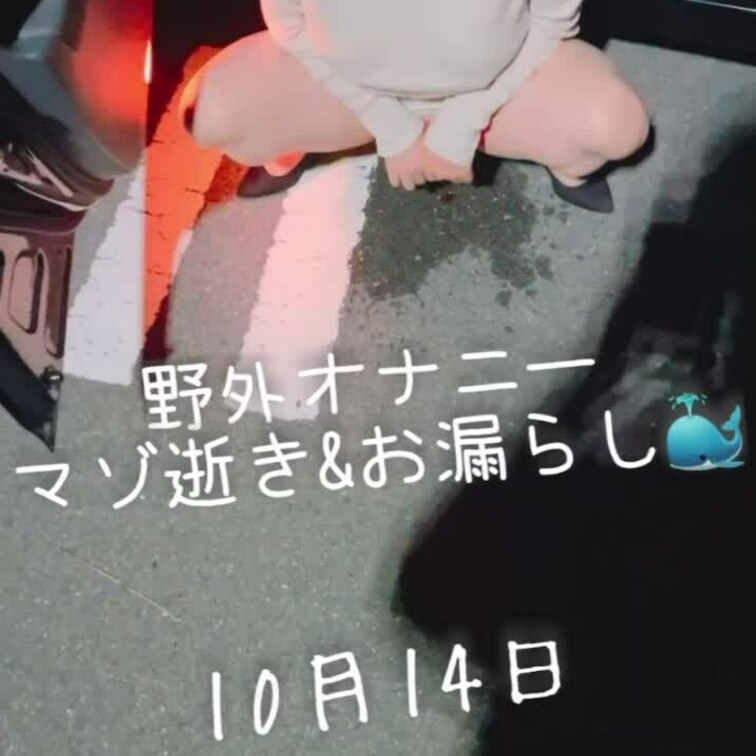 10月14日野外オナニー&フェラ
乳首を刺激してやると高まってマゾ逝きしました🐳