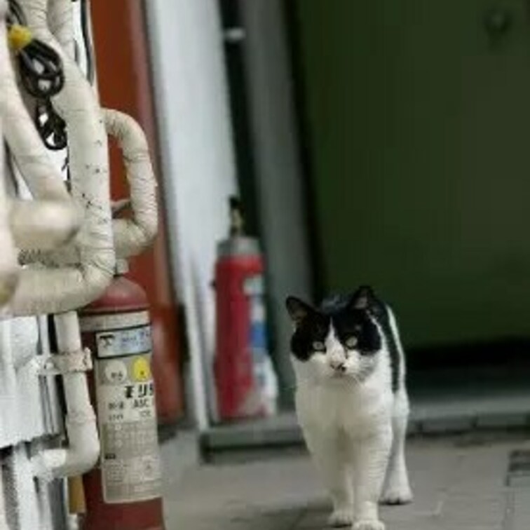 住んでた家の前
