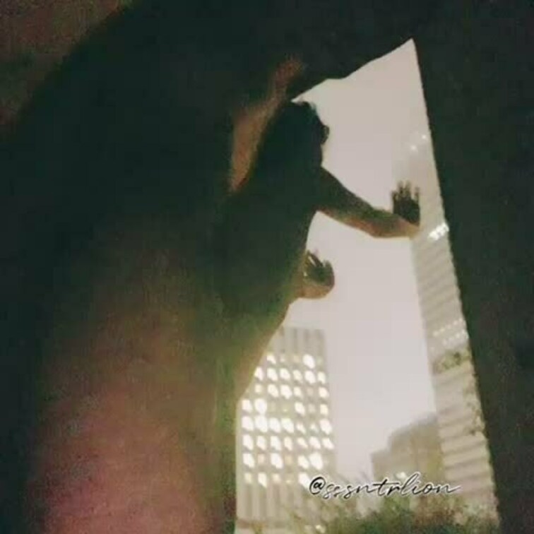8階での窓際プレイのつもりが窓の外は7階屋上が散策路&テニスコートなので実質2階の窓際プレイ😳
外からは丸み状態の臨場