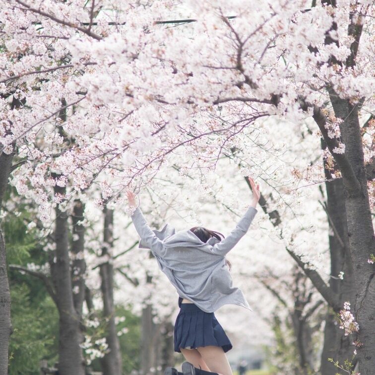 制服×桜