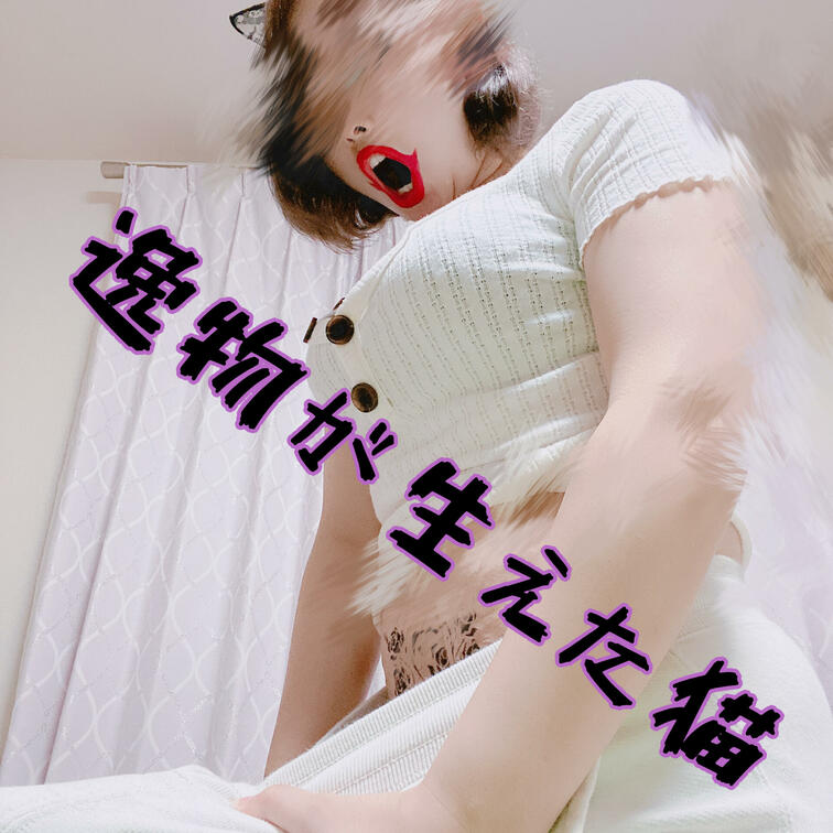 逸物が生えた猫です。
