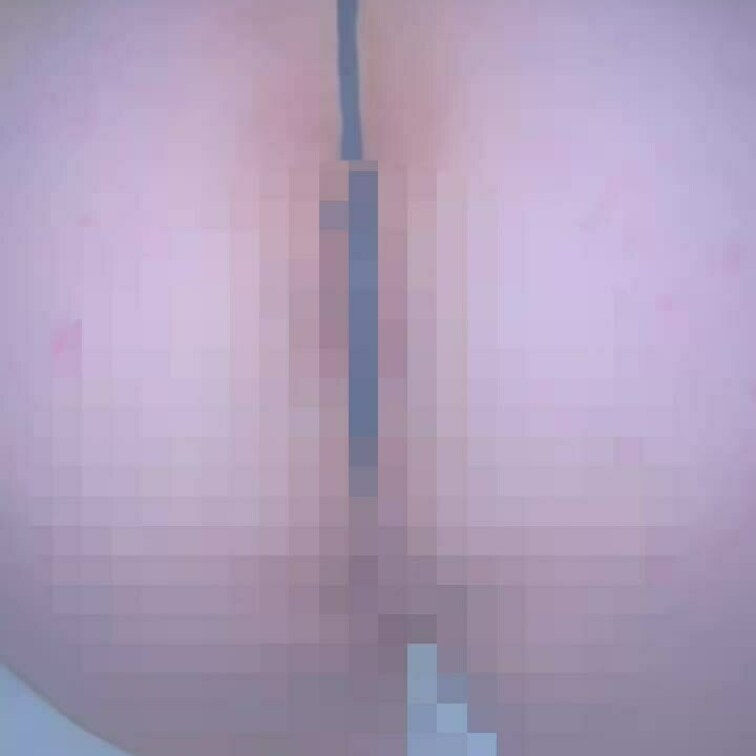 ハメ撮り