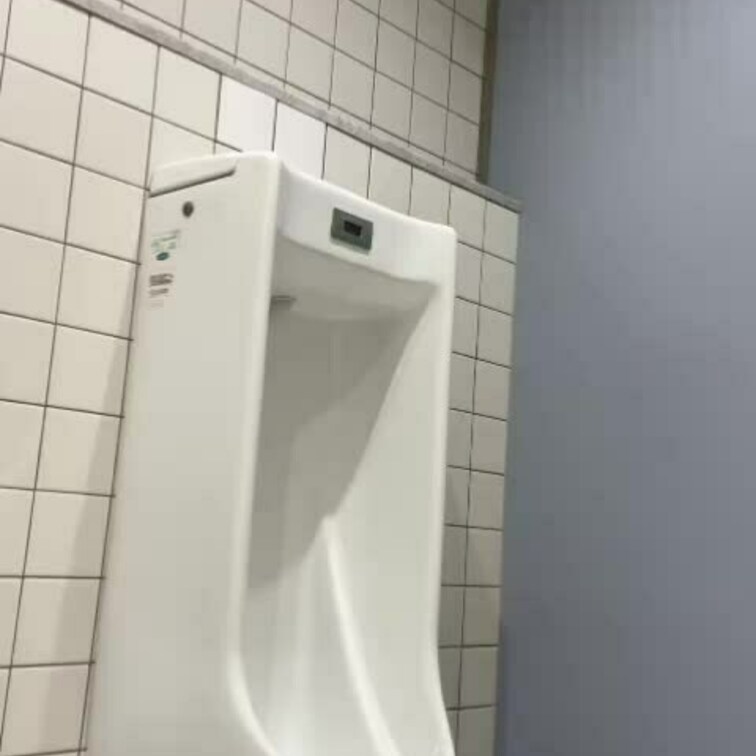 便女と便噐の交尾