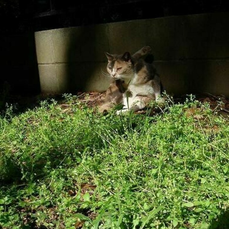むぎゅ