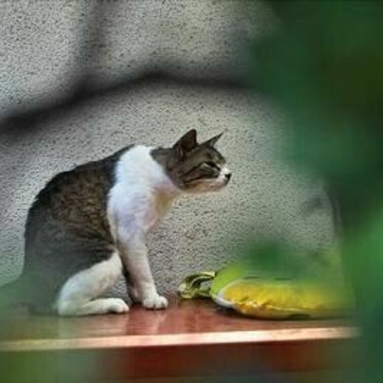 カーブが一致　偶然だけど