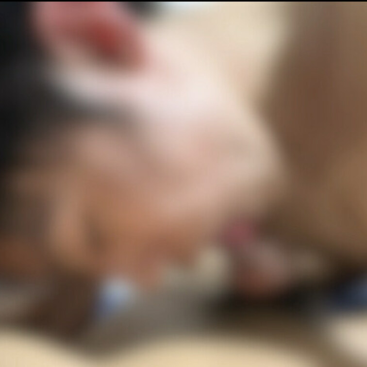 【尺犬動画】part1