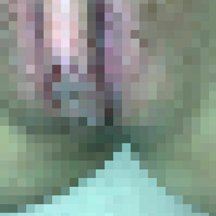 短い動画ですがツルツルパイパンまんこの接写です！

この子は会ってる中でも割と細くて顔もどちらかというと可愛い方だと