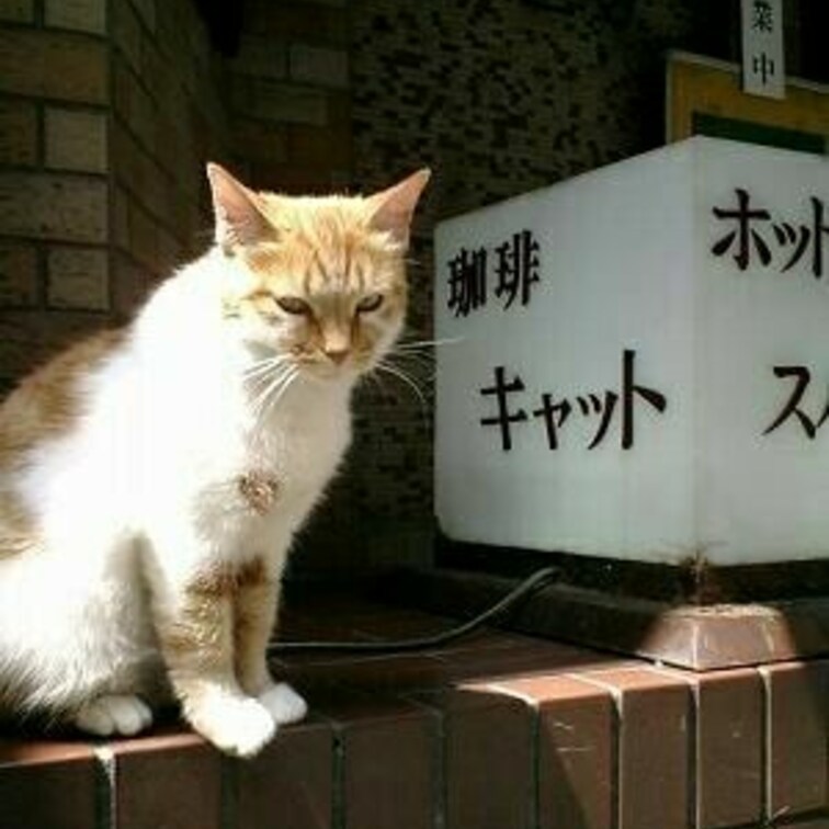 できすぎ