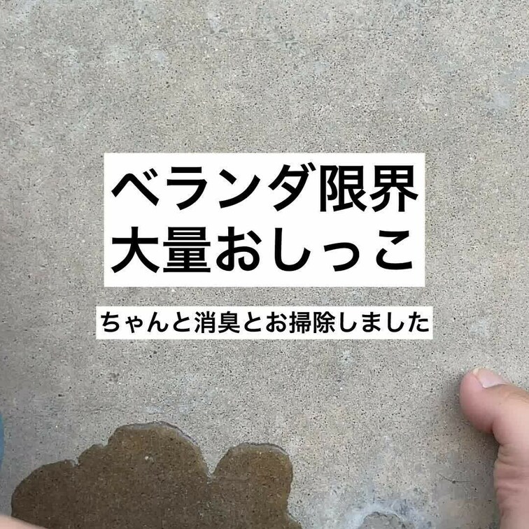 ベランダで……