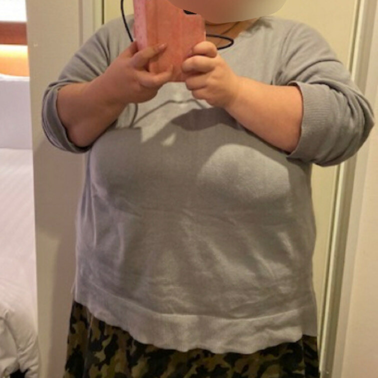 ぽっちゃりな体型🐷