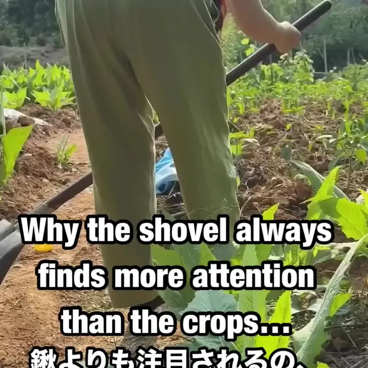 植えてるだけですよ、やましいことなんて何も🌱