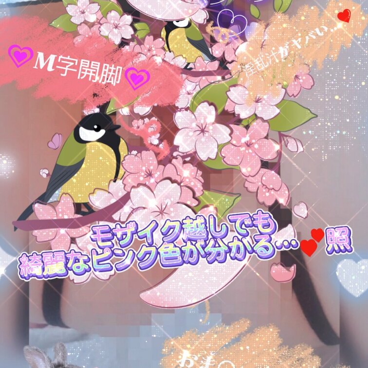 有料プランで投稿しているサムネイル✨️